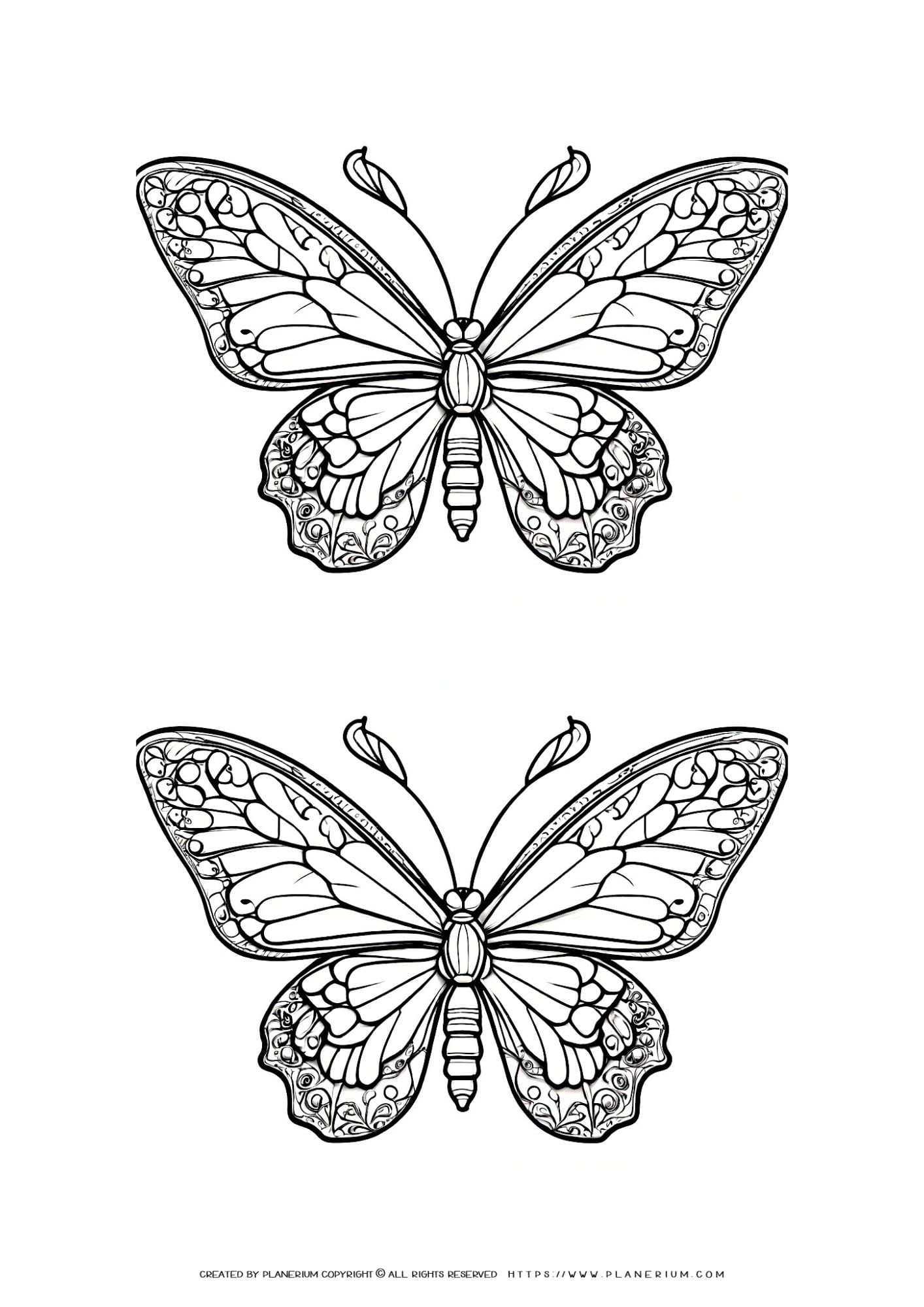 Free Butterfly-Spring-Themed Coloring Page for Classroom Fun