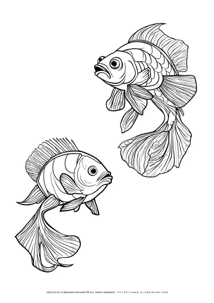Line art of two ornamental goldfish.