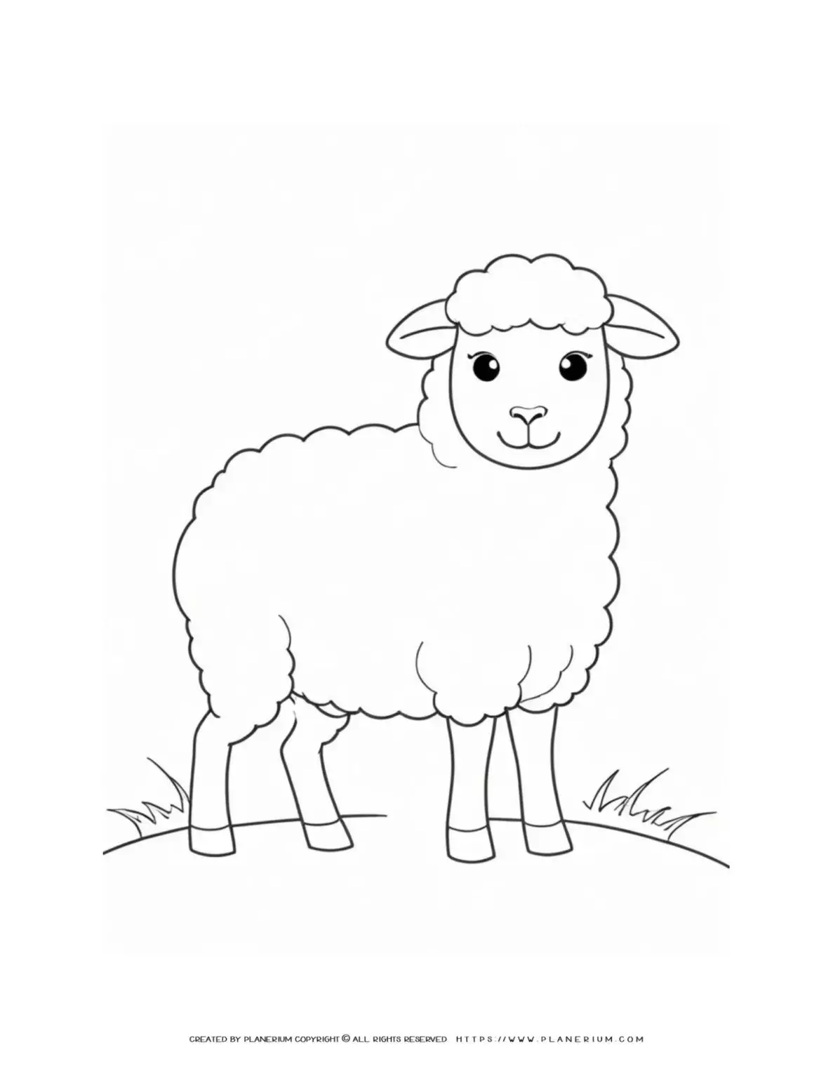 Cute-Sheep-Outline-Standing-Simple-Coloring-Page-for-Kids