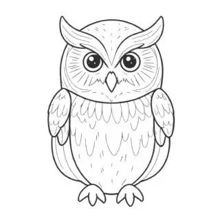 Detailed-Owl-Outline-Drawing-Coloring-Page-for-Kids