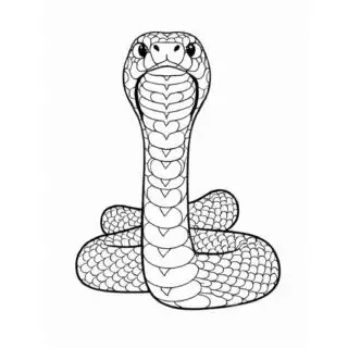 Detailed-Snake-Outline-Animal-Coloring-Page-for-Kids
