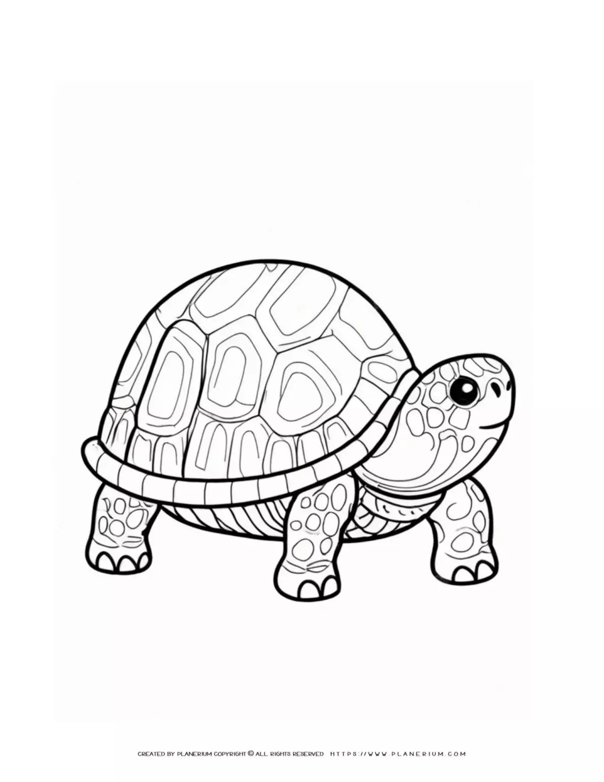 Detailed-Turtle-Outline-Coloring-Page-for-Kids