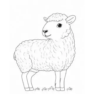 Lamb-Outline-Drawing-Simple-Coloring-Page-for-Kids