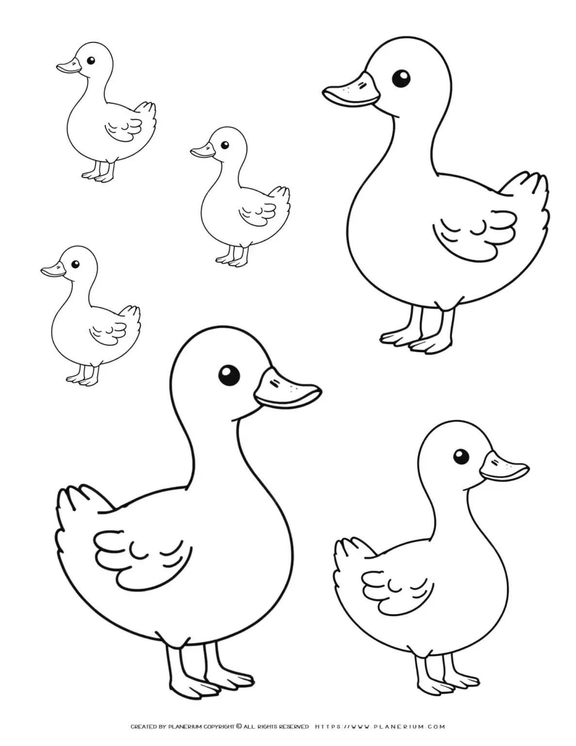 Six-Duck-Outlines-Family-Facing-Left-and-Right-Simple-Coloring-Page