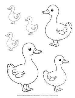 Six-Duck-Outlines-Family-Facing-Left-and-Right-Simple-Coloring-Page