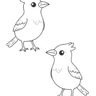 Two-Cute-Cardinal-Birds-Coloring-Pages-for-Kids