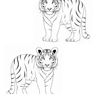 Two-Tigers-Outlines-Animal-Coloring-Page-for-Kids