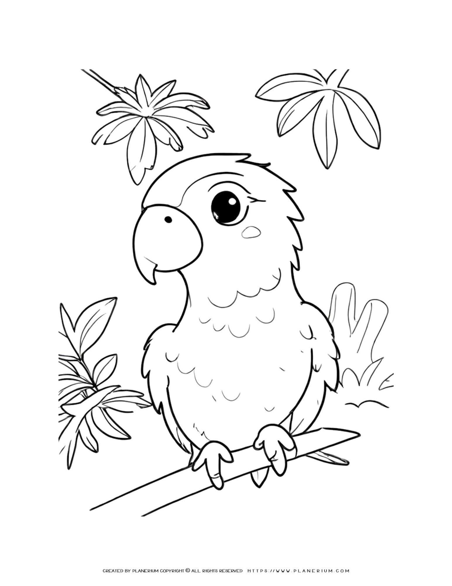 Engage & Educate with Vibrant Parrot Coloring Printable