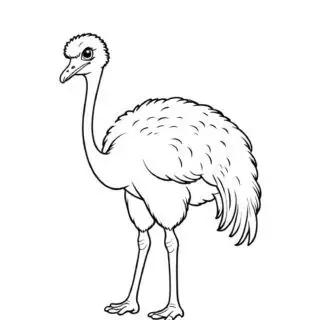 angry-ostrich-outline-coloring-page