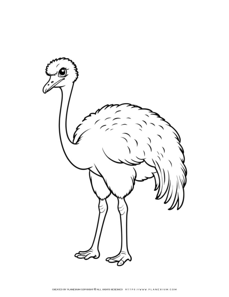 Angry Ostrich Coloring Page for Kids - Printable and Digital Download