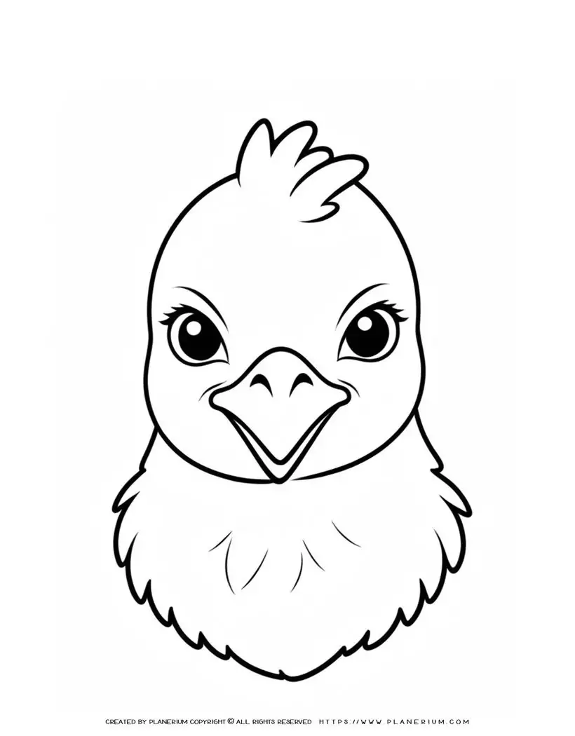 36-cute-baby-chicken-portrait-coloring-page-for-kids