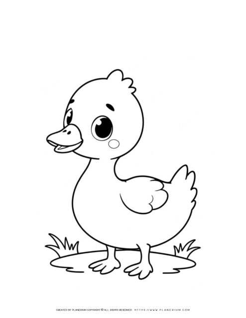 Cute baby goose outlines - ideal for decorating nurseries and crafting.