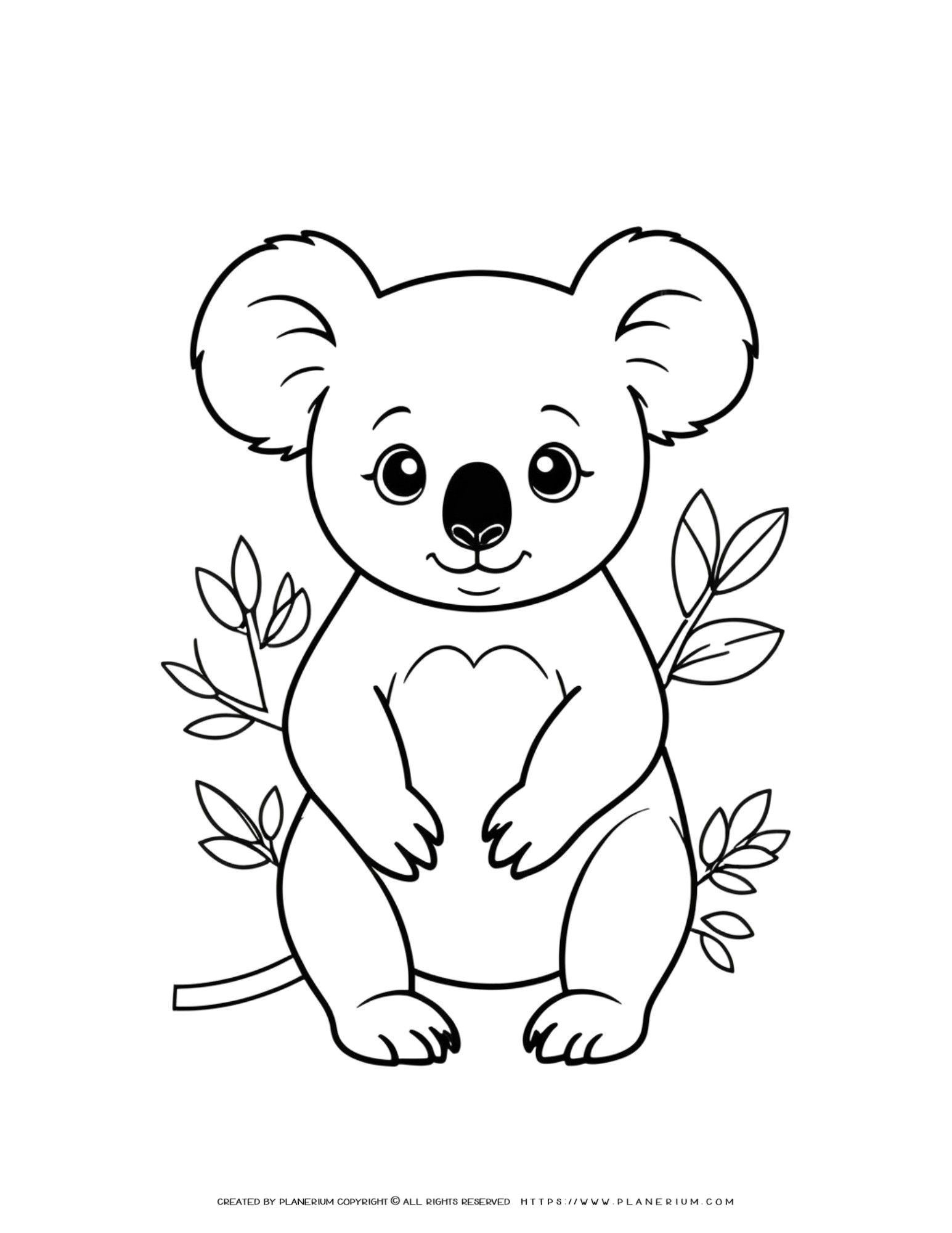 Cute Koala Coloring Page for Kids | Creative and Fun Activity