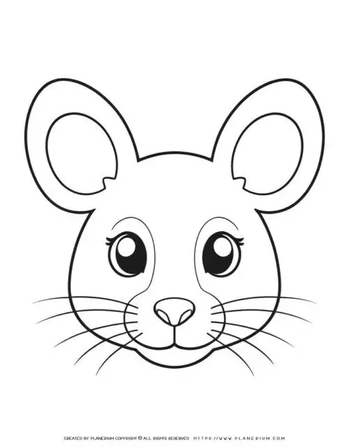 Cute Mouse Face Black Eyes Front View