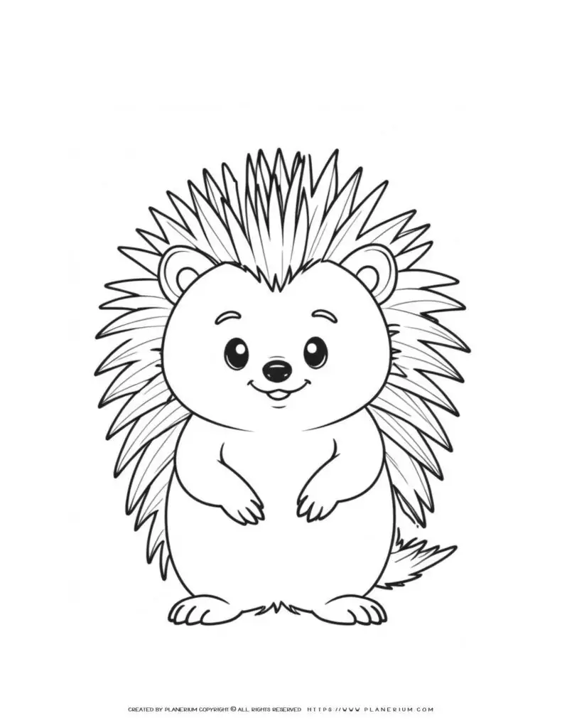 cute-porcupine-outline-illustration-coloring-page-for-kids