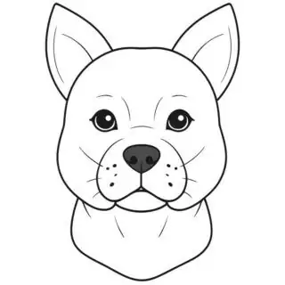 dog-portrait-front-view-illustration