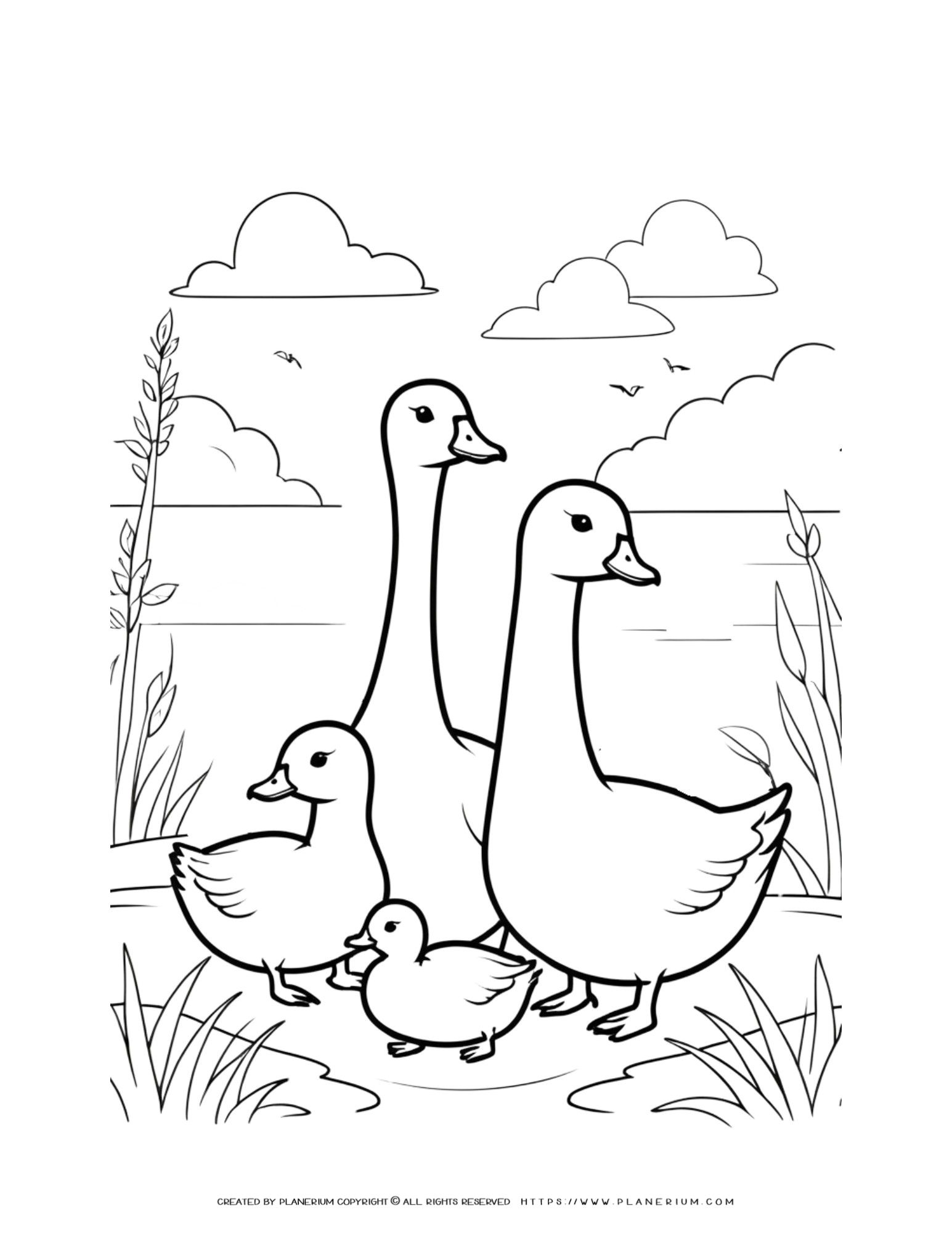 Geese Family Coloring Page for Children - Educational Worksheet for ...