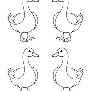 four-geese-outlines-farm-animals