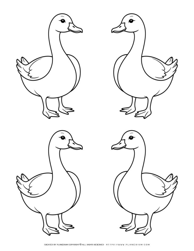 Beautiful Coloring Page Featuring Four Geese Outlines Farm Animals