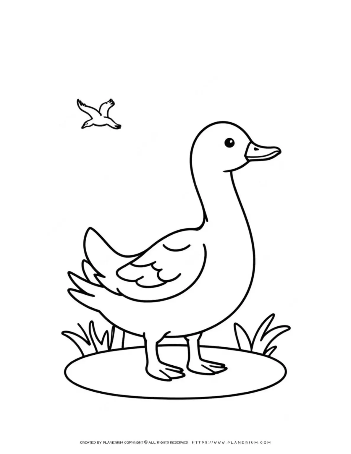 goose-simple-animal-coloring-page-for-kids
