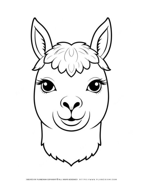 Free Printable Lama Face Coloring Page for Kids and Adults!