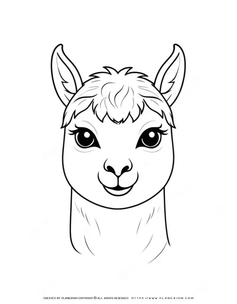 lama-face-outline-front-view-animal-coloring-page