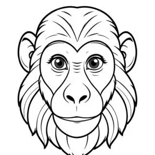 106-monkey-baboon-face-front-view-illustration-coloring-page