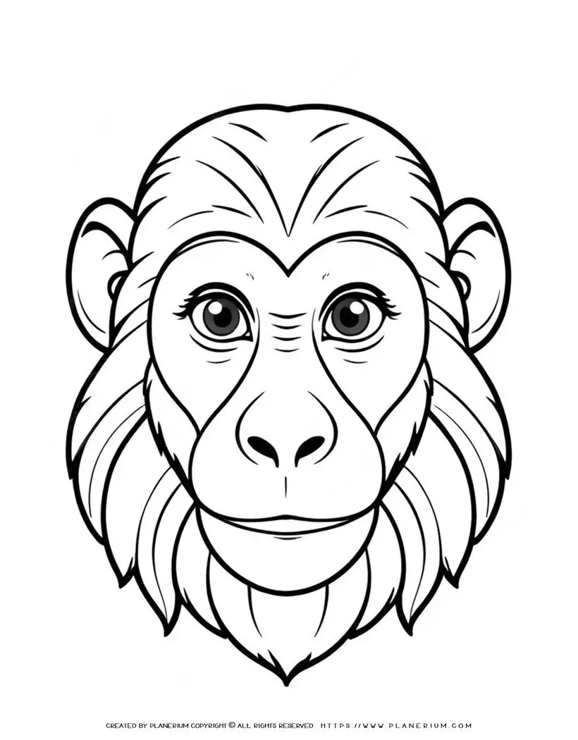 106-monkey-baboon-face-front-view-illustration-coloring-page
