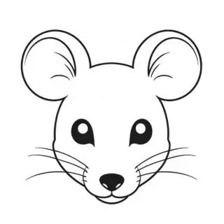 mouse-face-front-view-coloring-page-for-kids