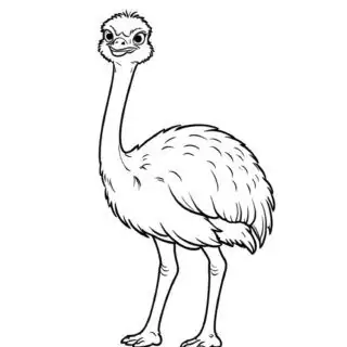 ostrich-illustration-comic-style-coloring-page
