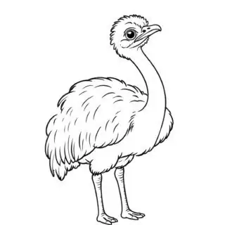 ostrich-illustration-comic-style-coloring-page-for-kids