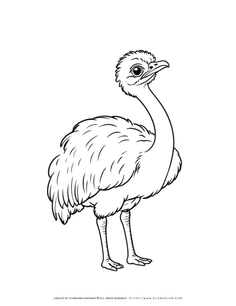 Cute Ostrich Coloring Page for Kids - Fun Animal Activity!