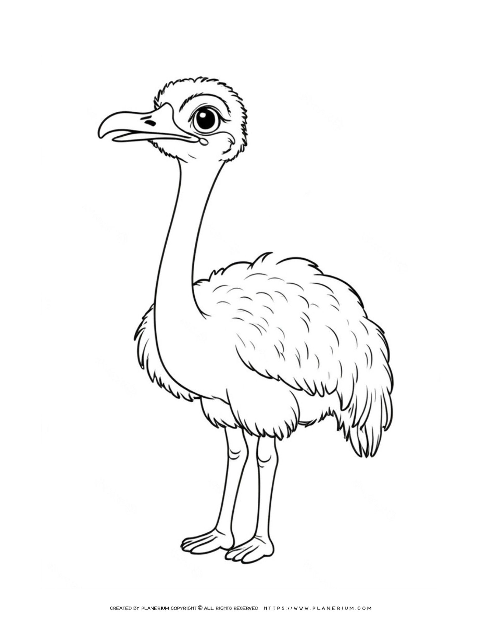 Cute Ostrich Coloring Page for Kids - Fun Animal Activity