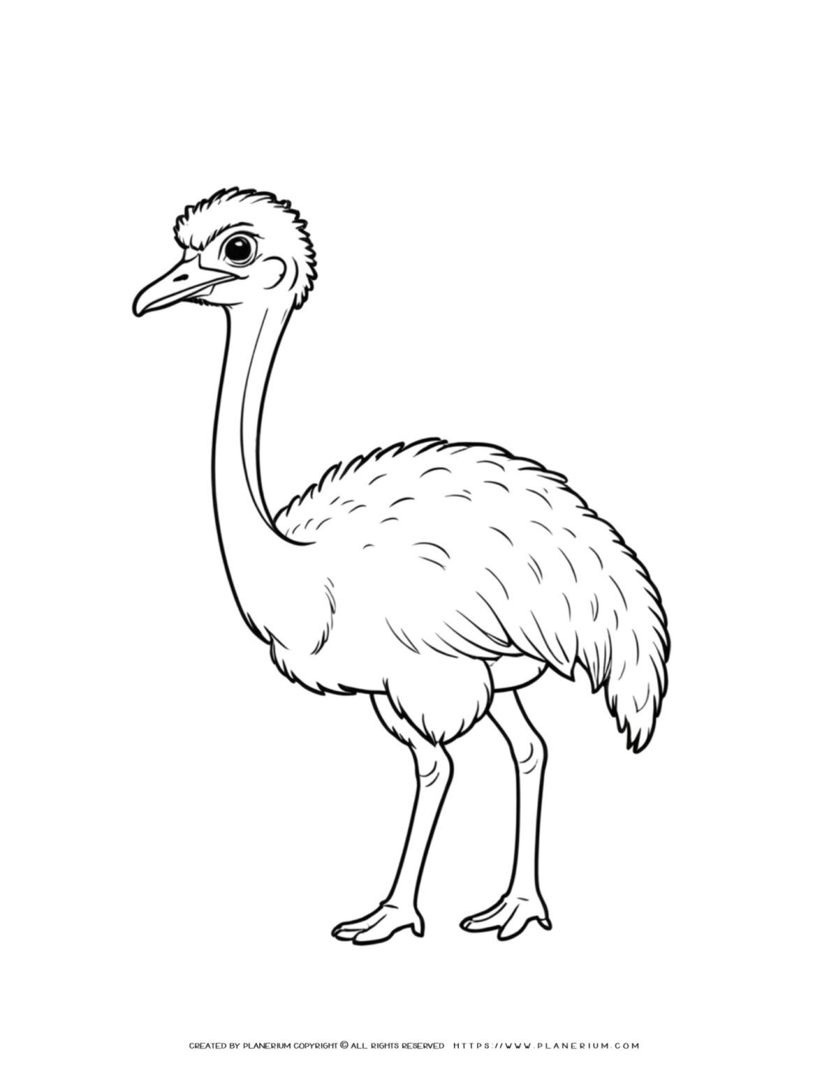 Stunning Ostrich Side View Outline Coloring Page - Comic Style Design 