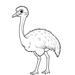 ostrich-side-view-outline-comic-style-coloring-page