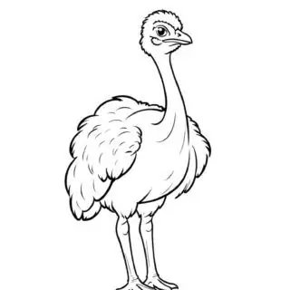 ostrich-standing-outline-coloring-page