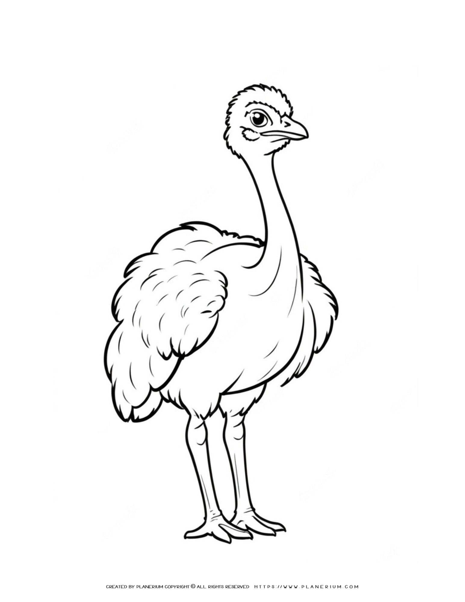 Ostrich Standing Outline Coloring Page - Animal Art Activity for All Ages