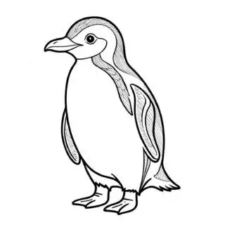 Black-and-white-penguin-illustration