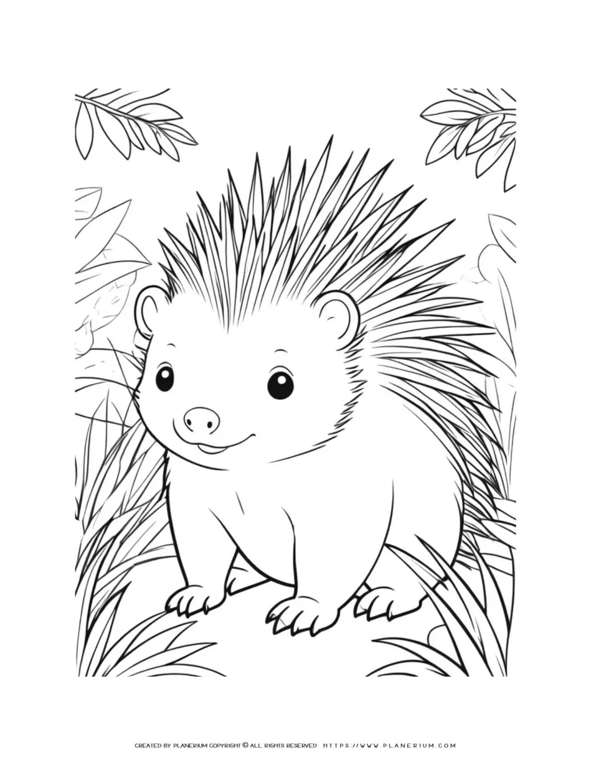 porcupine-in-the-wild-coloring-page