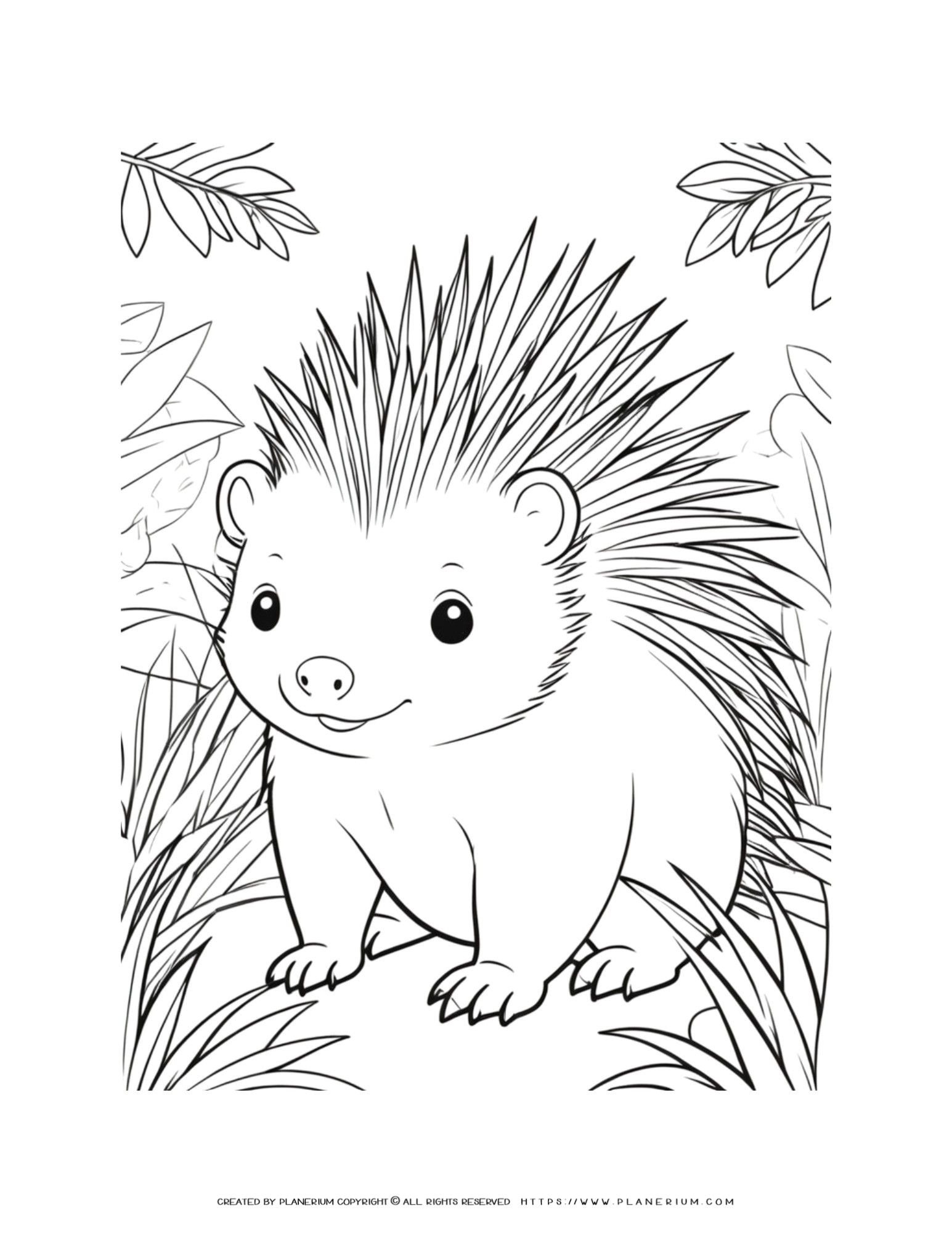 Wild Porcupine Coloring Page for Relaxation and Creativity