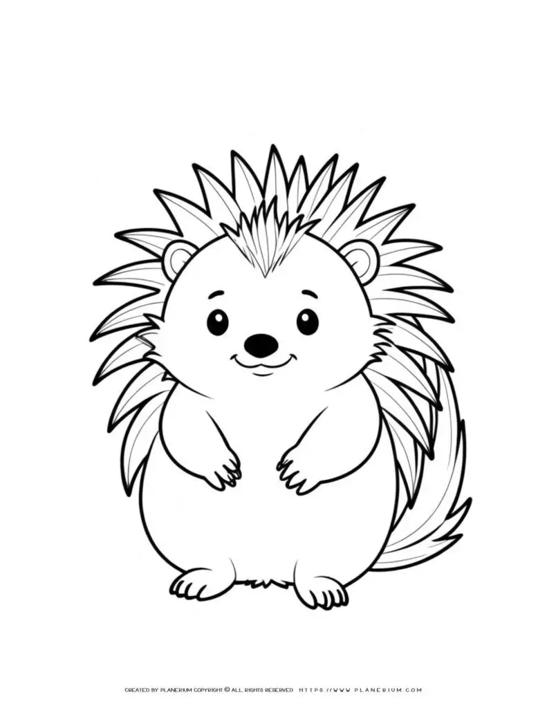porcupine-outline-illustration-coloring-page-for-kids