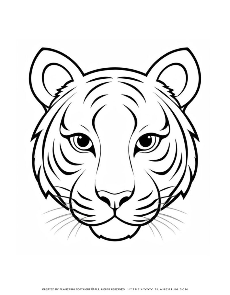 Tiger Portrait Front View Printable for Educational Fun!