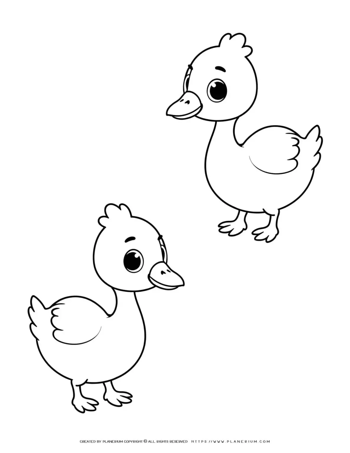 two-cute-baby-goose-outlines
