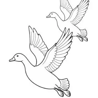 two-flying-geese-coloring-page