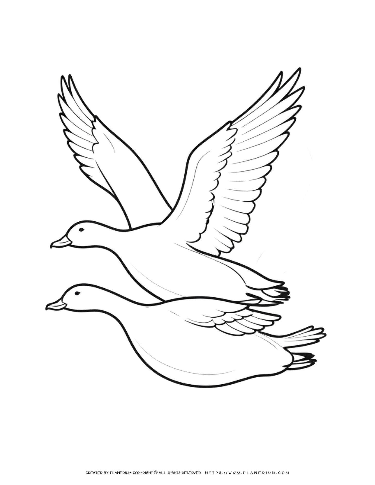 Stunning Coloring Page Featuring Flying Geese Illustration for ...