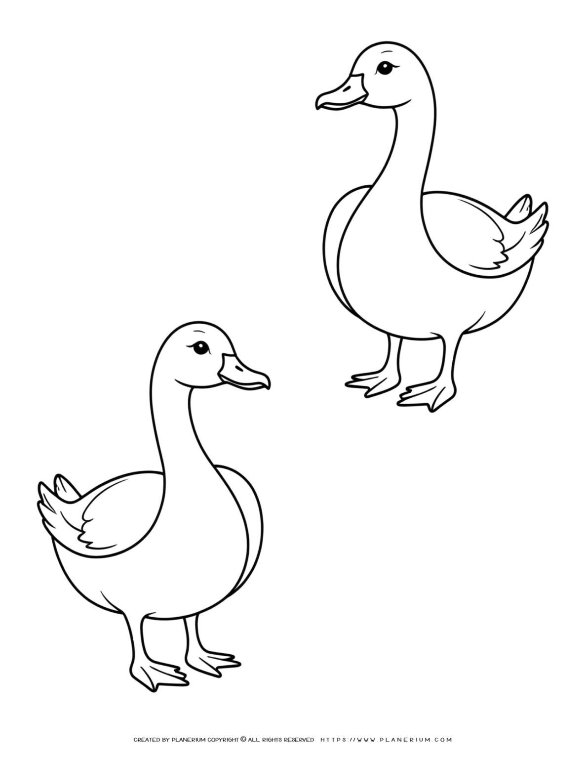 Two Goose Standing Outlines - Beautiful and Detailed Decorative ...