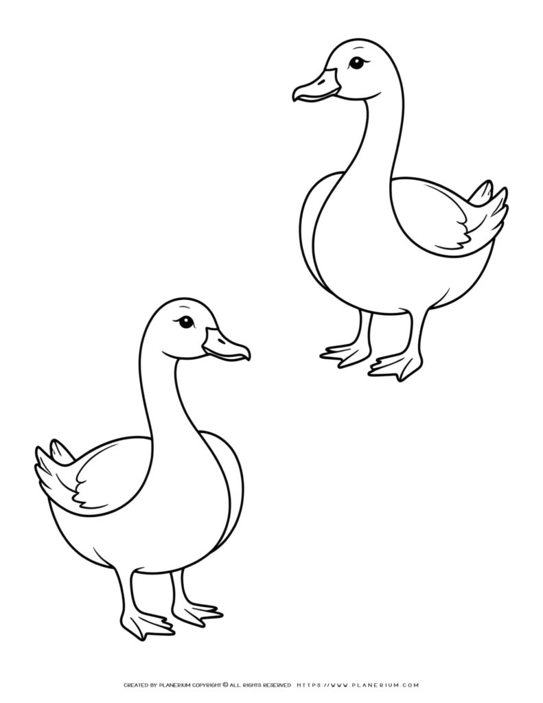 Two Goose Standing Outlines - Beautiful And Detailed Decorative 