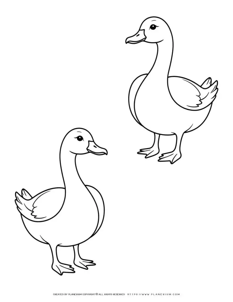 two-goose-standing-outlines