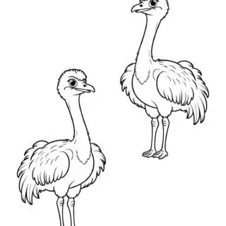 two-ostrich-standing-outline-comic-style-coloring-page-for-kids