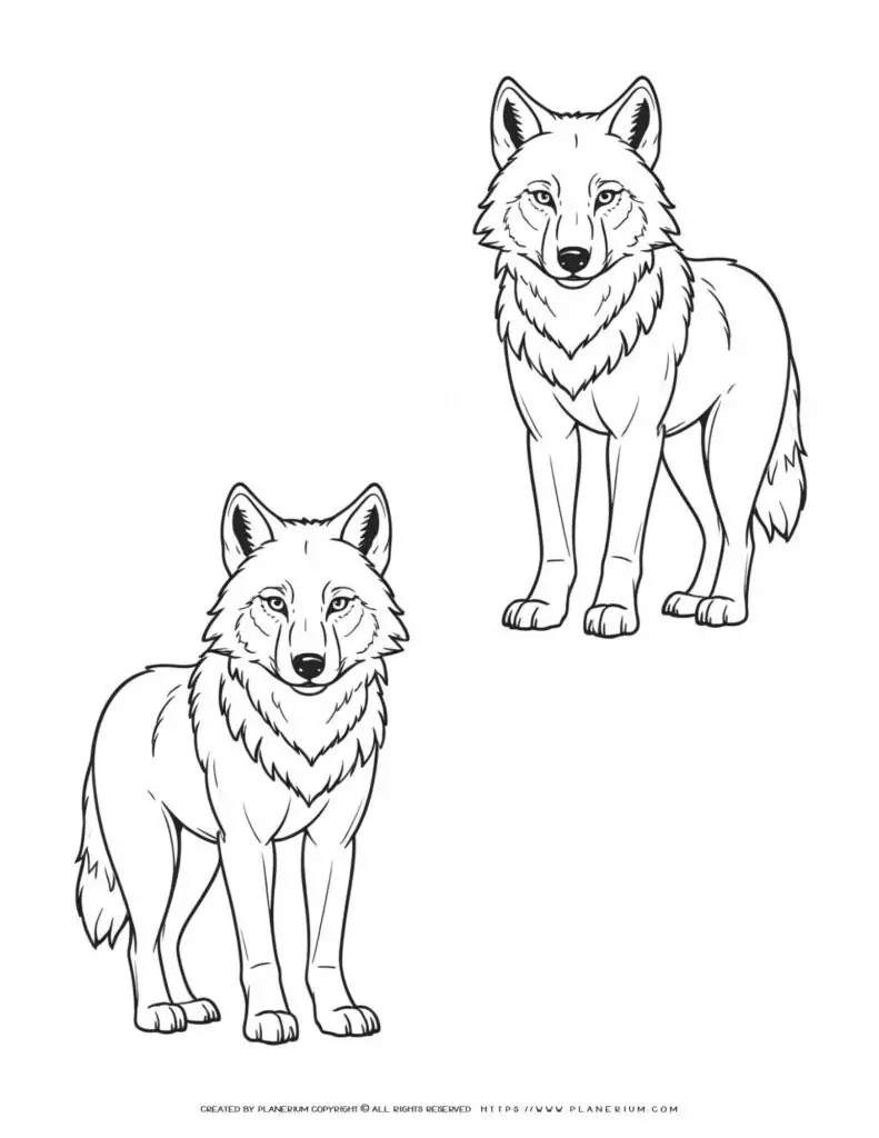 two-outline-wolf-realistic-style-coloring-page